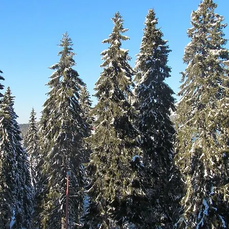 Vanja I Vrh Apartman *